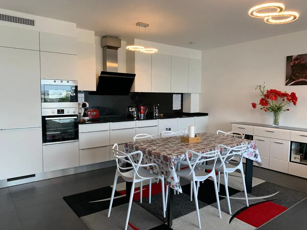 Spacious Luxury 2Br Flat With Parking & Netflix - Luxembourg Gare